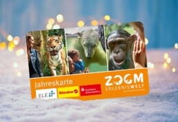 Jahreskarte, Geschenk, ZOOM Erlebniswelt. 365 Tage Abenteuer