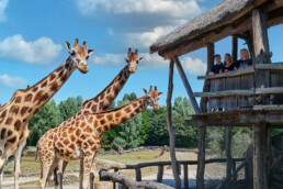 ZOOM Erlebniswelt_Großer Entdeckertag (3) 1