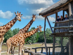 ZOOM Erlebniswelt_Großer Entdeckertag (3) 1